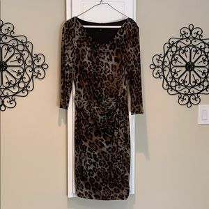 Animal print dress nwot